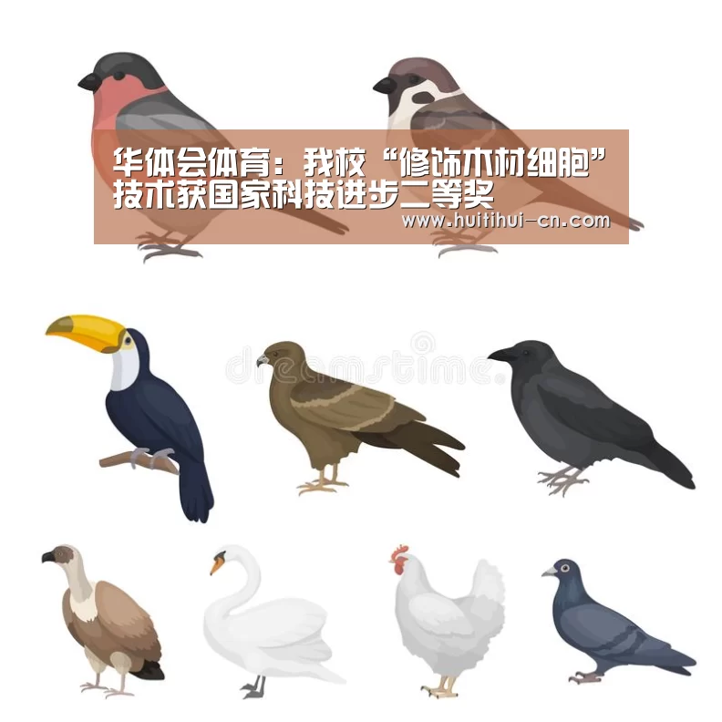 华体会体育:我校“修饰木材细胞”技术获国家科技进步二等奖(图1) 华体会官网